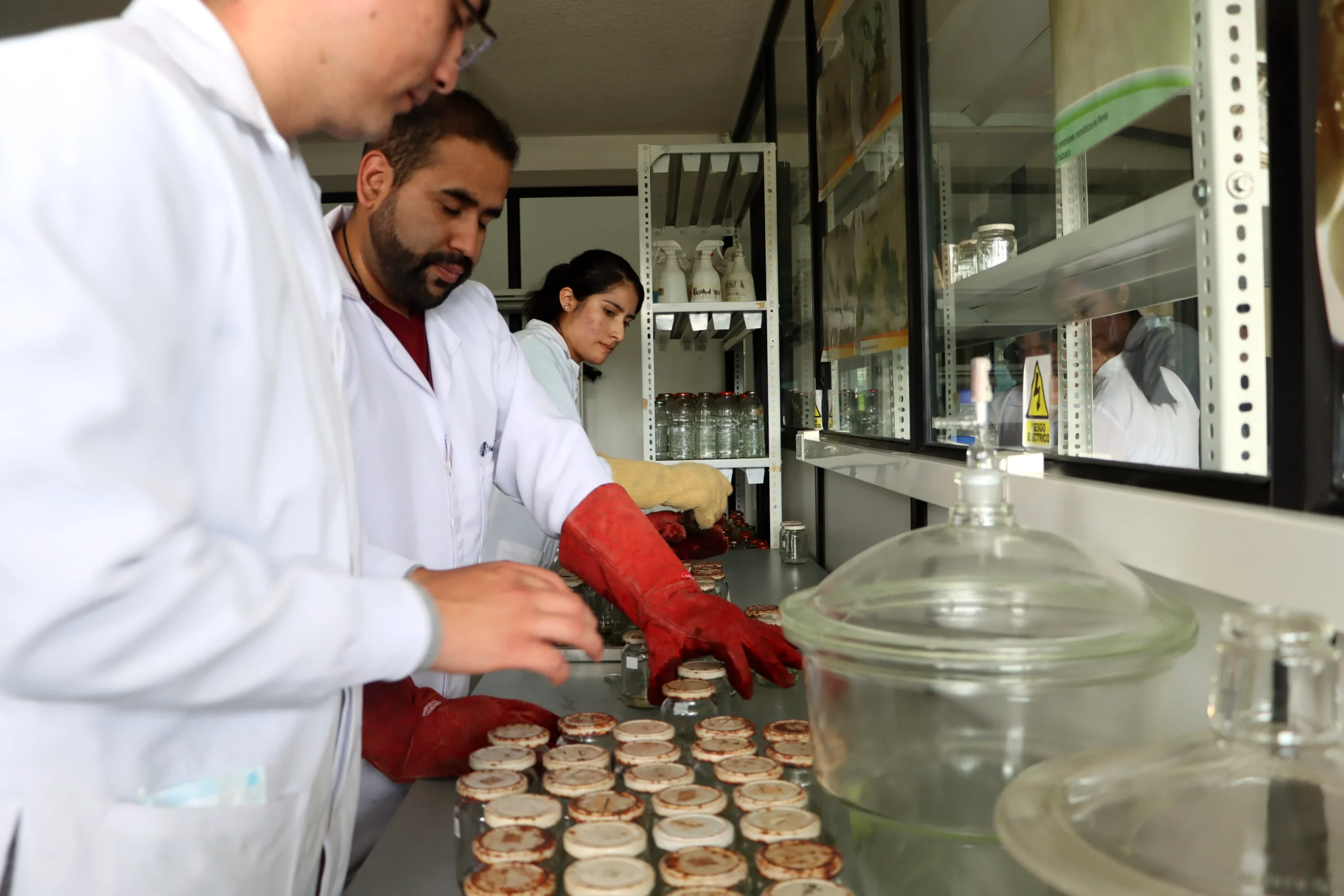 Biotecnología (3)