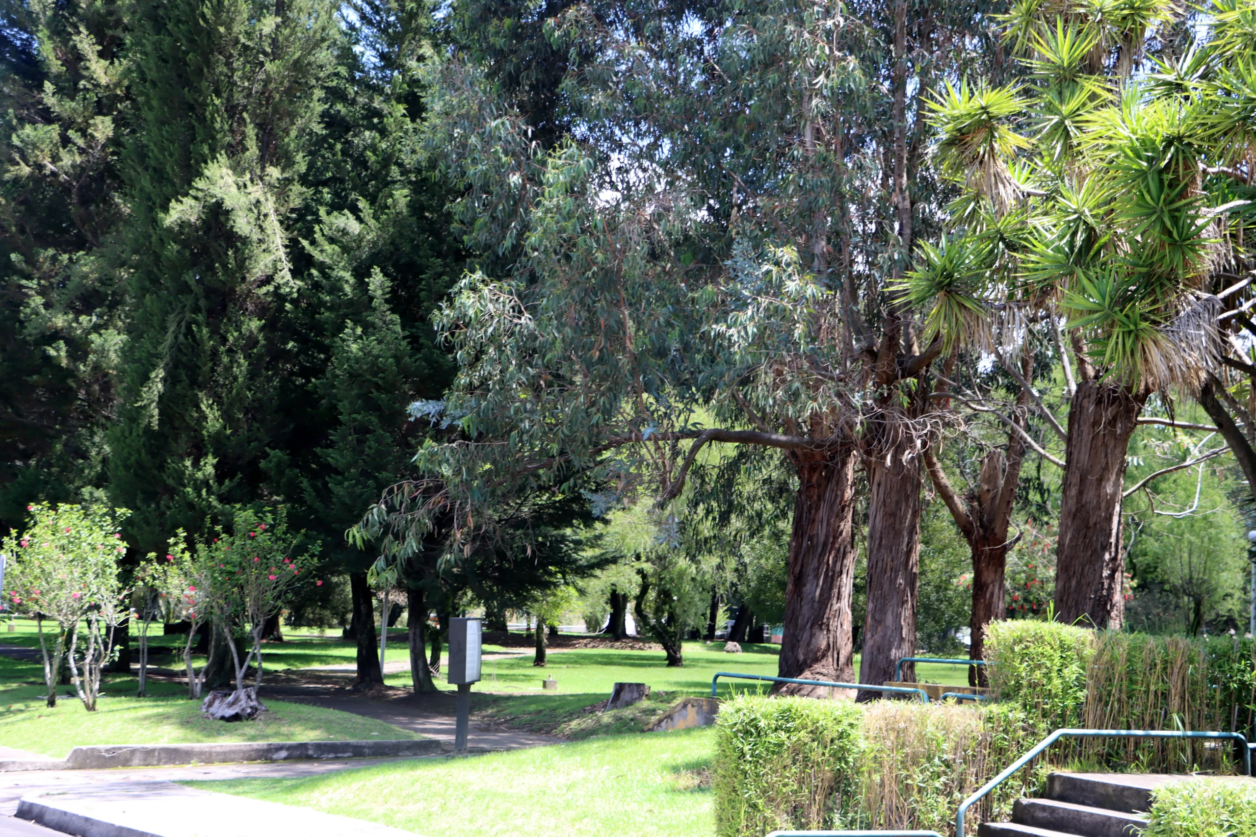 Ingeniería Ambiental (2)