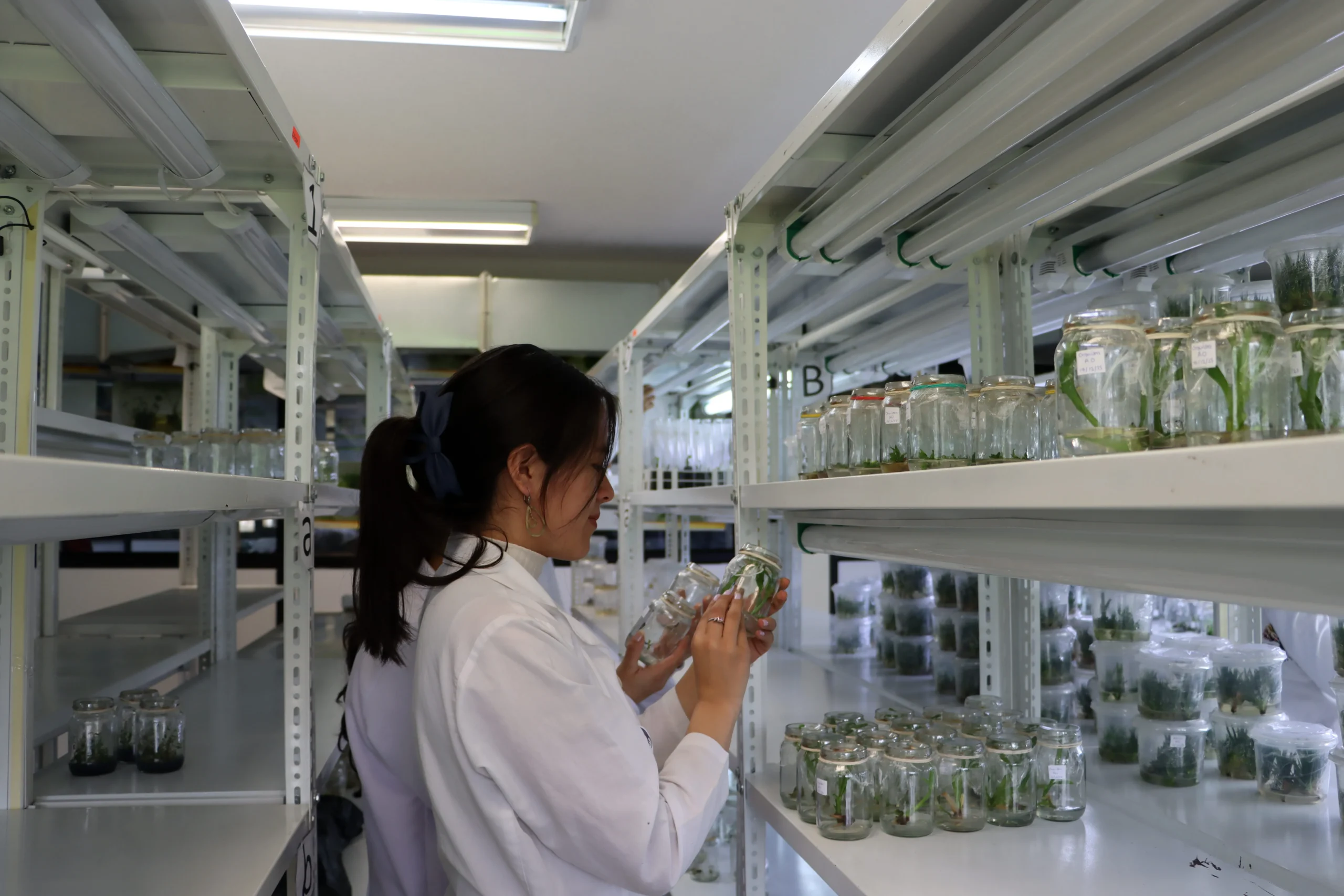 Ingeniería Ambiental (3)