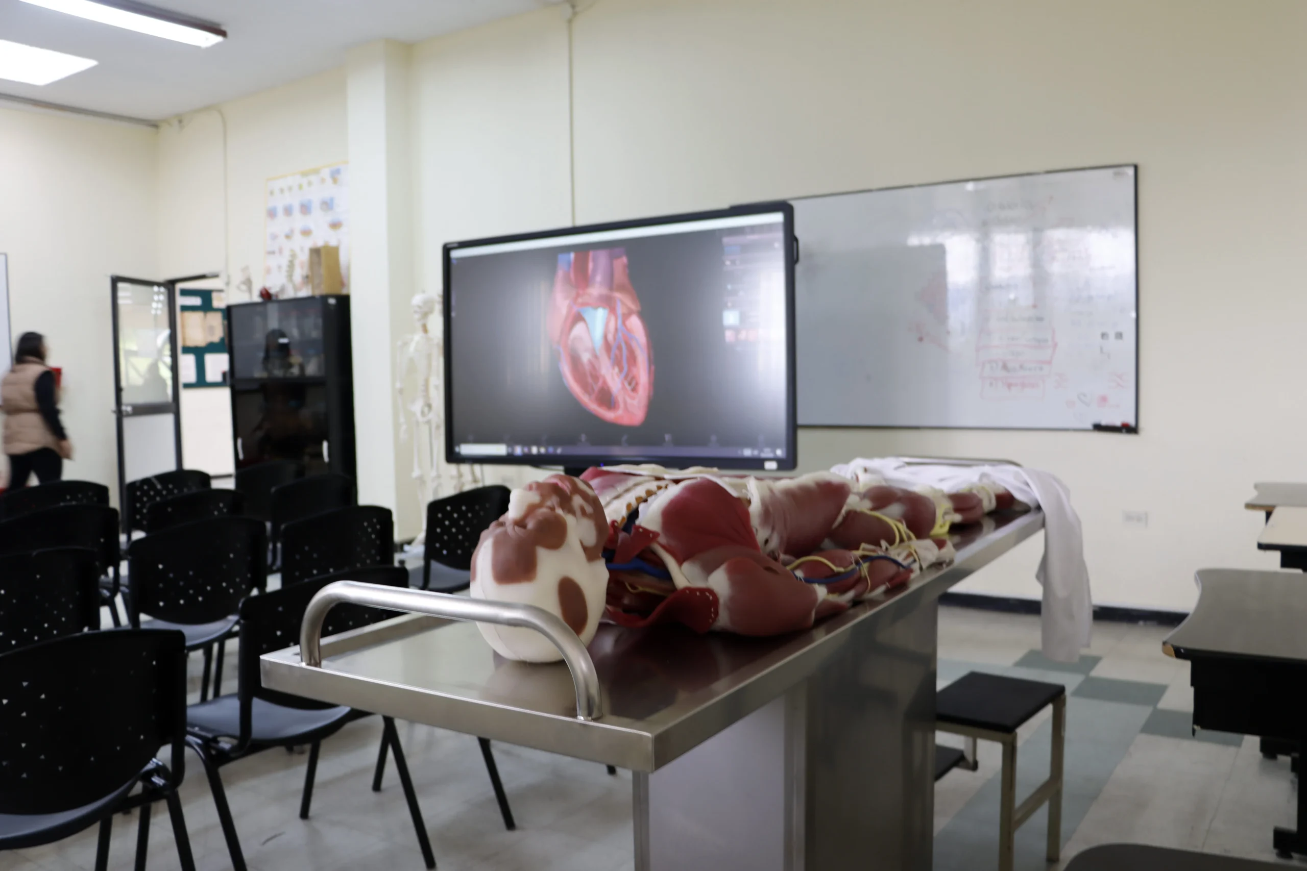 Medicina (1)