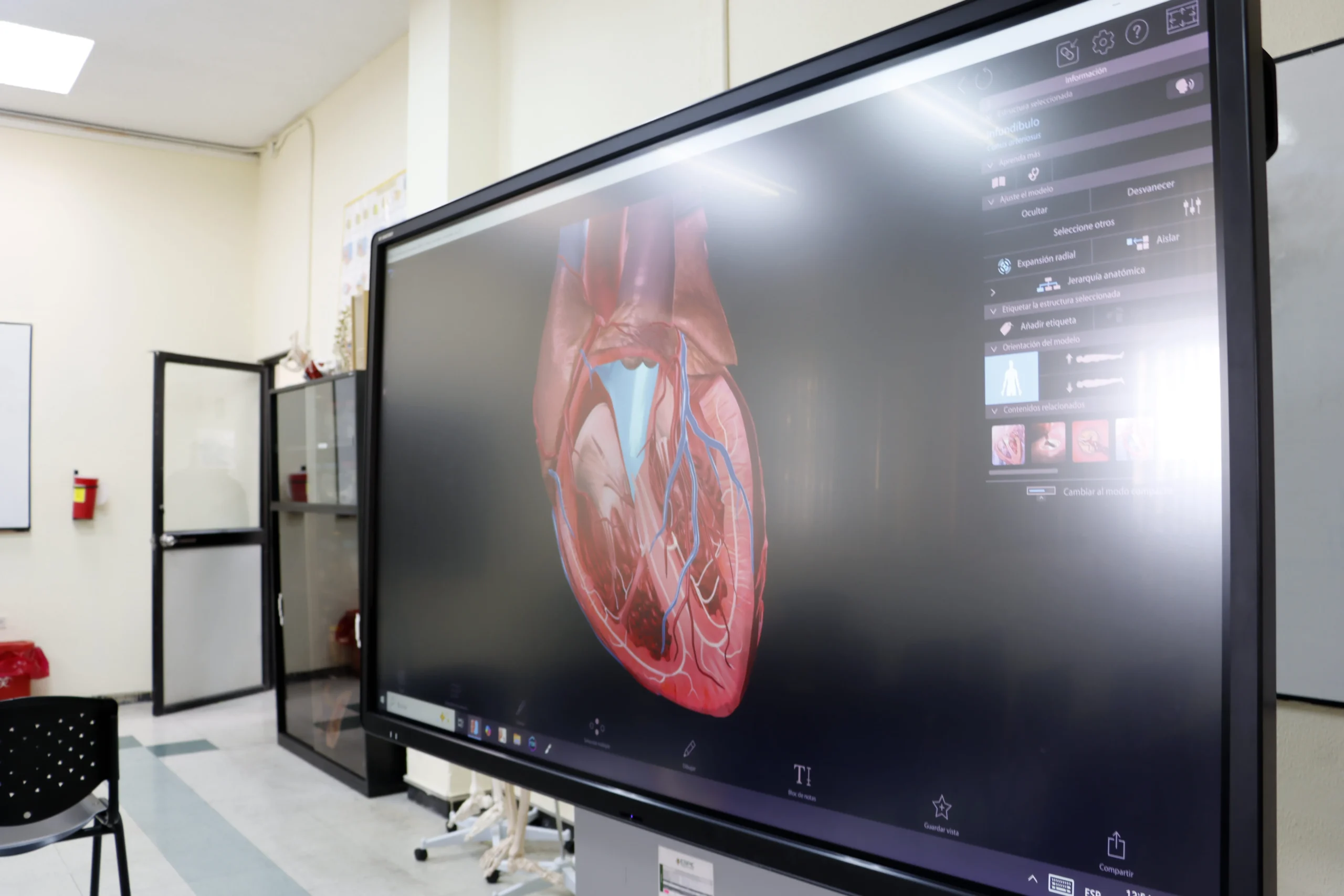 Medicina (3)