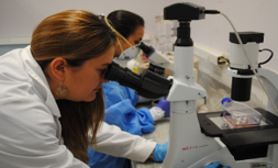 Investigación1