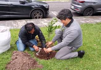 Reforestacion