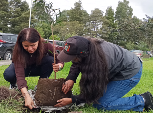 Reforestacion1