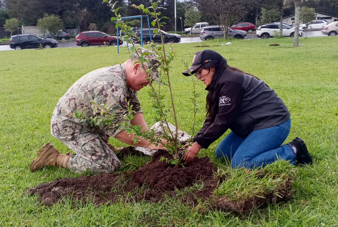 Reforestacion2